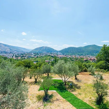 Panorama Olive Hill *